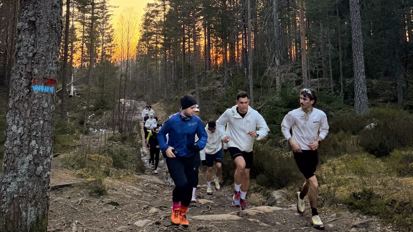 Terrengløpetur